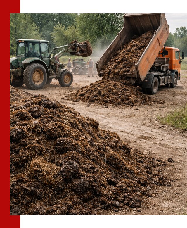 Доставка навоза самосвалами в Валуйках для сельхозпотребностей